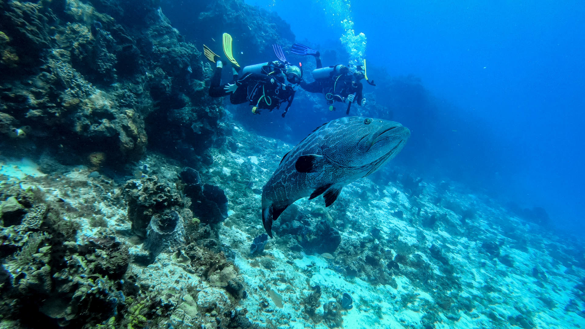Destino de viagem: Cozumel